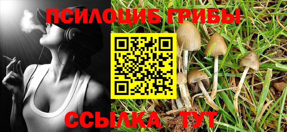 Галлюциногенные грибы Psilocybe Карпинск