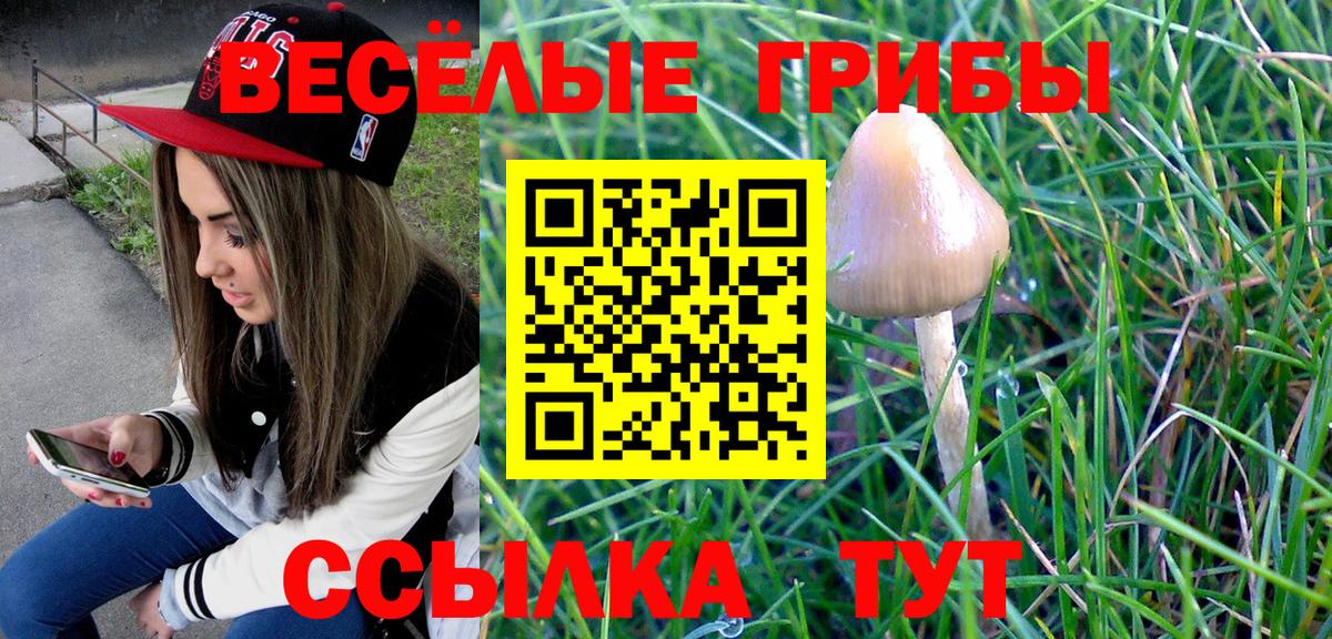 Карпинск  Псилоцибиновые грибы Cubensis  Вход с VPN 